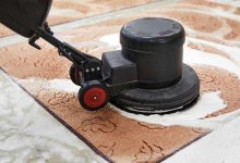 The Benefits of Professional Carpet Protection Treatments for Christchurch Homes