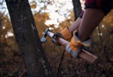 How to Find Reliable and Affordable Tree Services in Racine