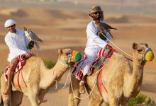 Exploring the Legacy of Camel Hunting in Arizona